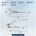22 Lb / 10 Kg. Delta Anchor, AISI316 Stainless Steel - FO3689 - Five Oceans