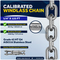 Vertical Windlass 600W with 125' Stainless Steel Chain - FO3931-4492-M125-KIT - Five Oceans