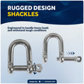 3/16" Screw Pin D Anchor Shackle, AISI316 Stainless Steel, 4-Pack