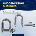 3/16" Screw Pin D Anchor Shackle, AISI316 Stainless Steel