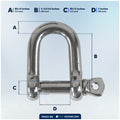 1/2" Screw Pin D Anchor Shackle, AISI316 Stainless Steel, 2-Pack