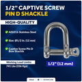 1/2" Captive Screw Pin D Anchor Shackle, 316 Stainless Steel