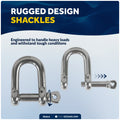 9/16" Screw Pin D Anchor Shackle, AISI316 Stainless Steel