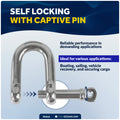 1/4" Captive Screw Pin D Anchor Shackle, AISI316 Stainless Steel