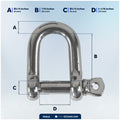 1/4" Captive Screw Pin D Anchor Shackle, AISI316 Stainless Steel