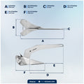 11 Lb / 5 Kg. Delta Anchor, AISI316 Stainless Steel - FO4216 - Five Oceans