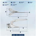 18 Lb / 8 Kg. Delta Anchor, AISI316 Stainless Steel - FO4217 - Five Oceans