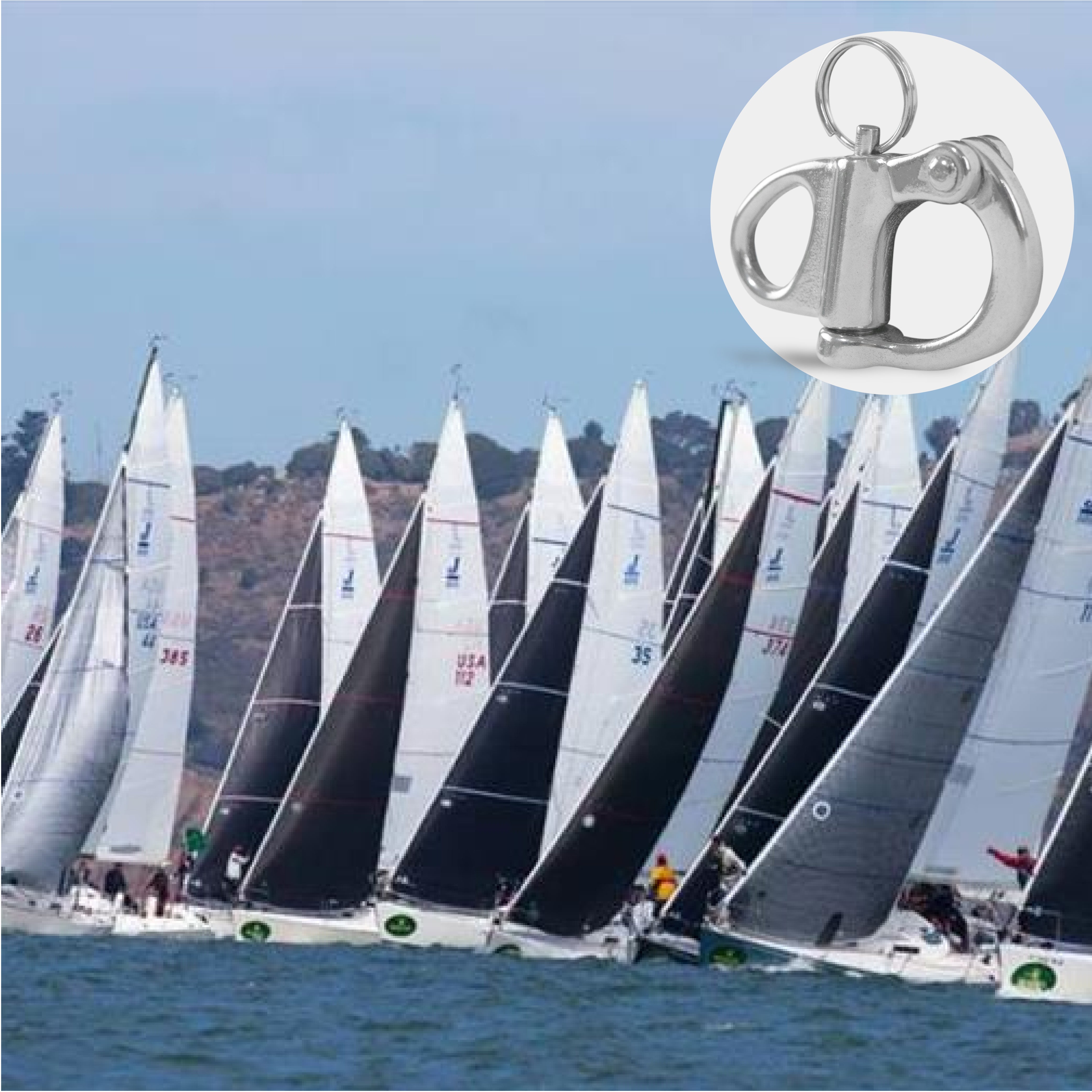 2" Pin Release Snap Shackle with Fixed Eye, AISI316 Stainless Steel, 2-Pack - FO441-M2