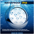 LED Underwater Light, Blue, AISI316 Stainless Stee, 10-30V, 2-Pack - FO4461-M2 - Five Oceans