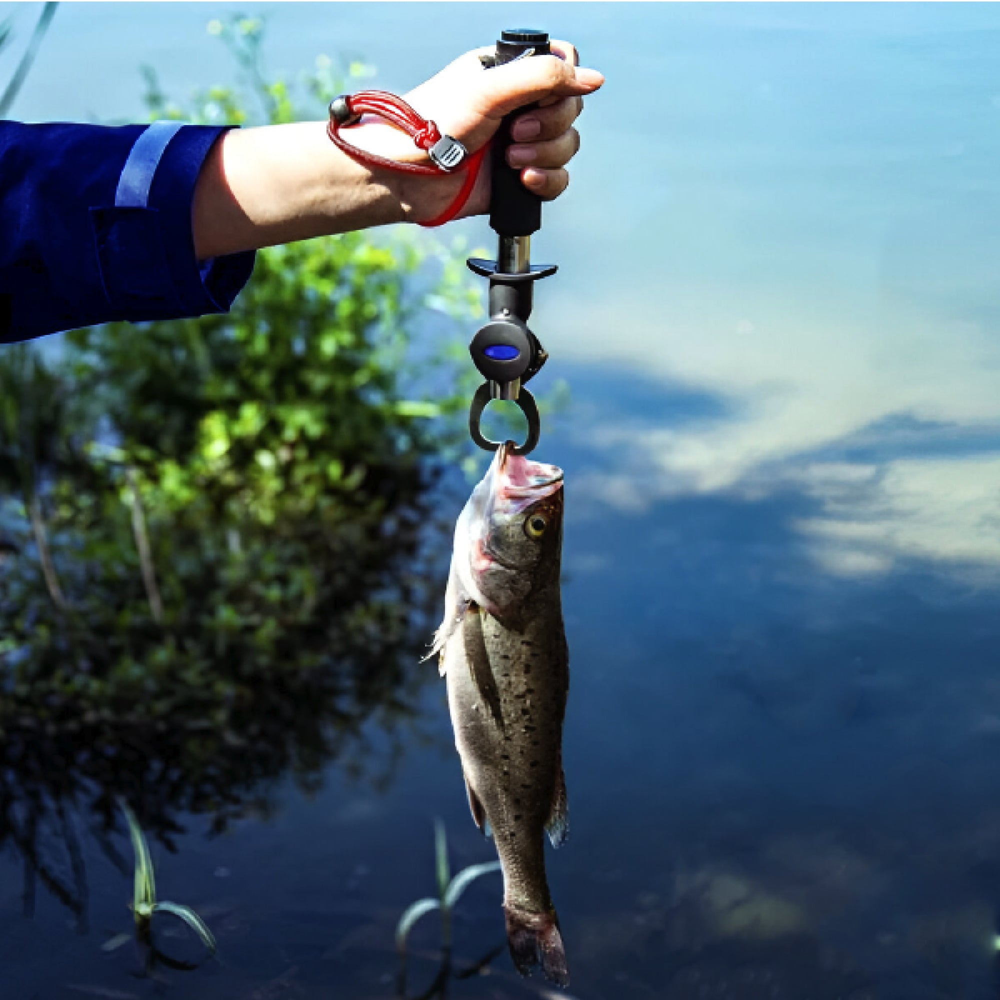 Stainless Steel Fish Lip Gripper with Scale and EVA Control Handle - FO4462 - Five Oceans