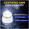 LED Anchor Navigation Light, Fixed Mount, 12V DC - 2NM