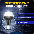 9" LED Anchor Navigation Light, Fold-Down, 12V DC - 2NM