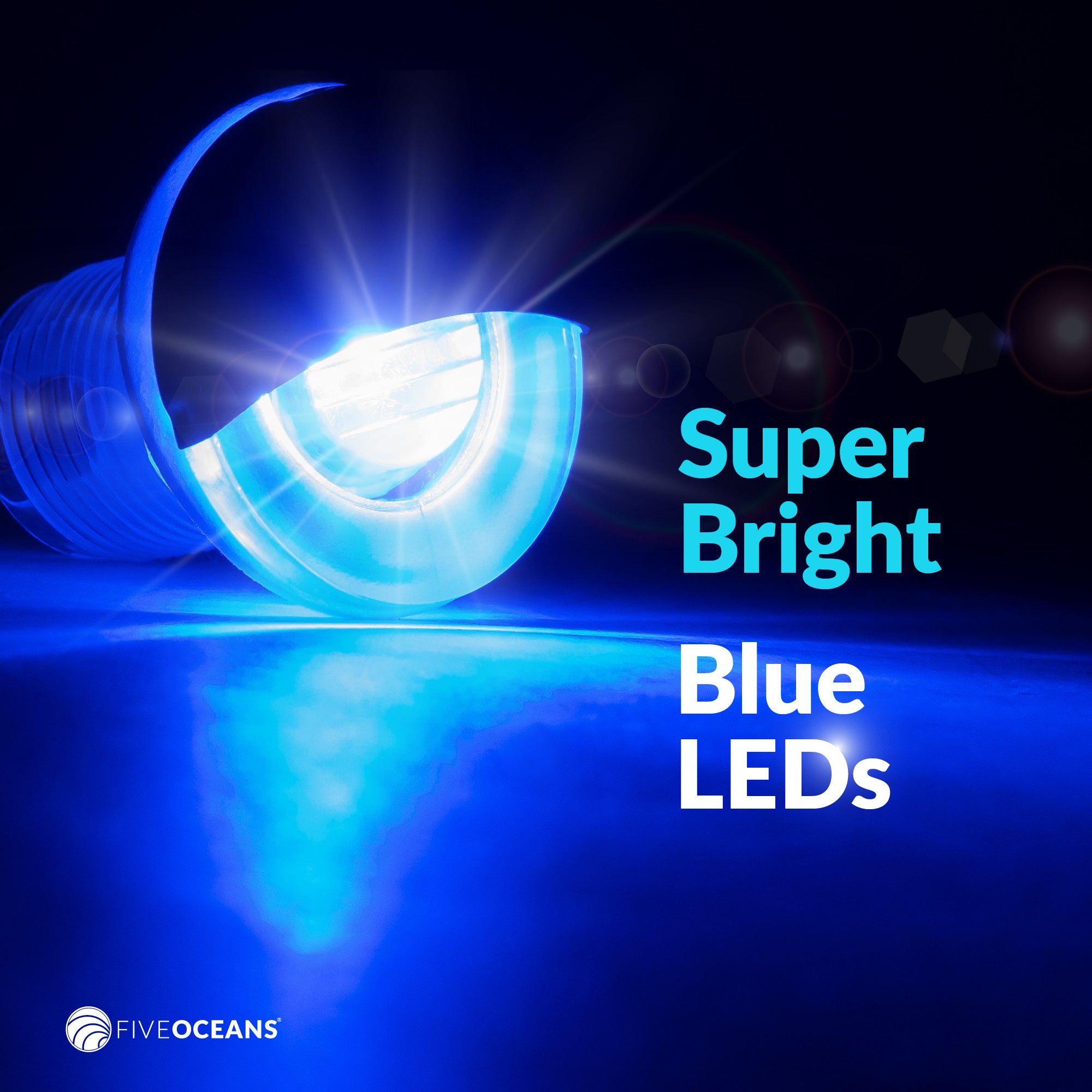 1-5/16" Livewell Courtesy Light, Round Accent, Blue LED - FO4597