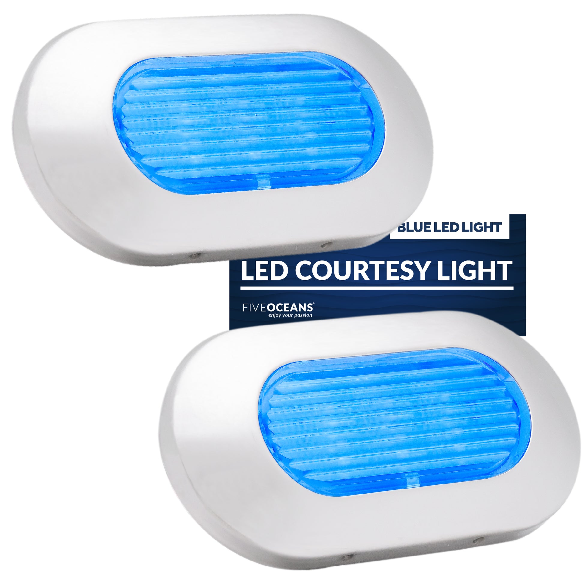 Blue LED Courtesy Light, Stainless Steel - FO4138-M2 - Five Oceans