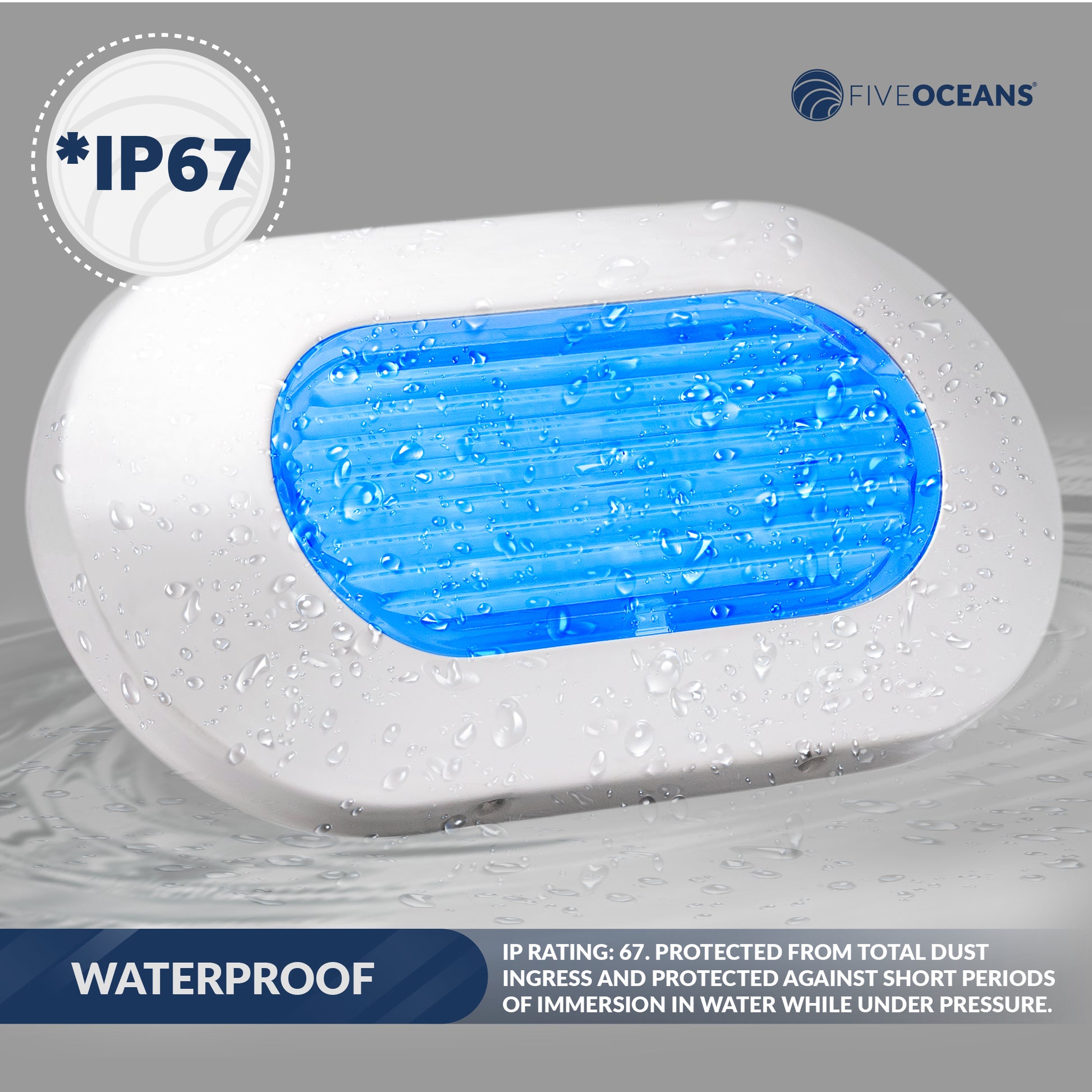 Blue LED Courtesy Light, Stainless Steel - FO4138-M2 - Five Oceans