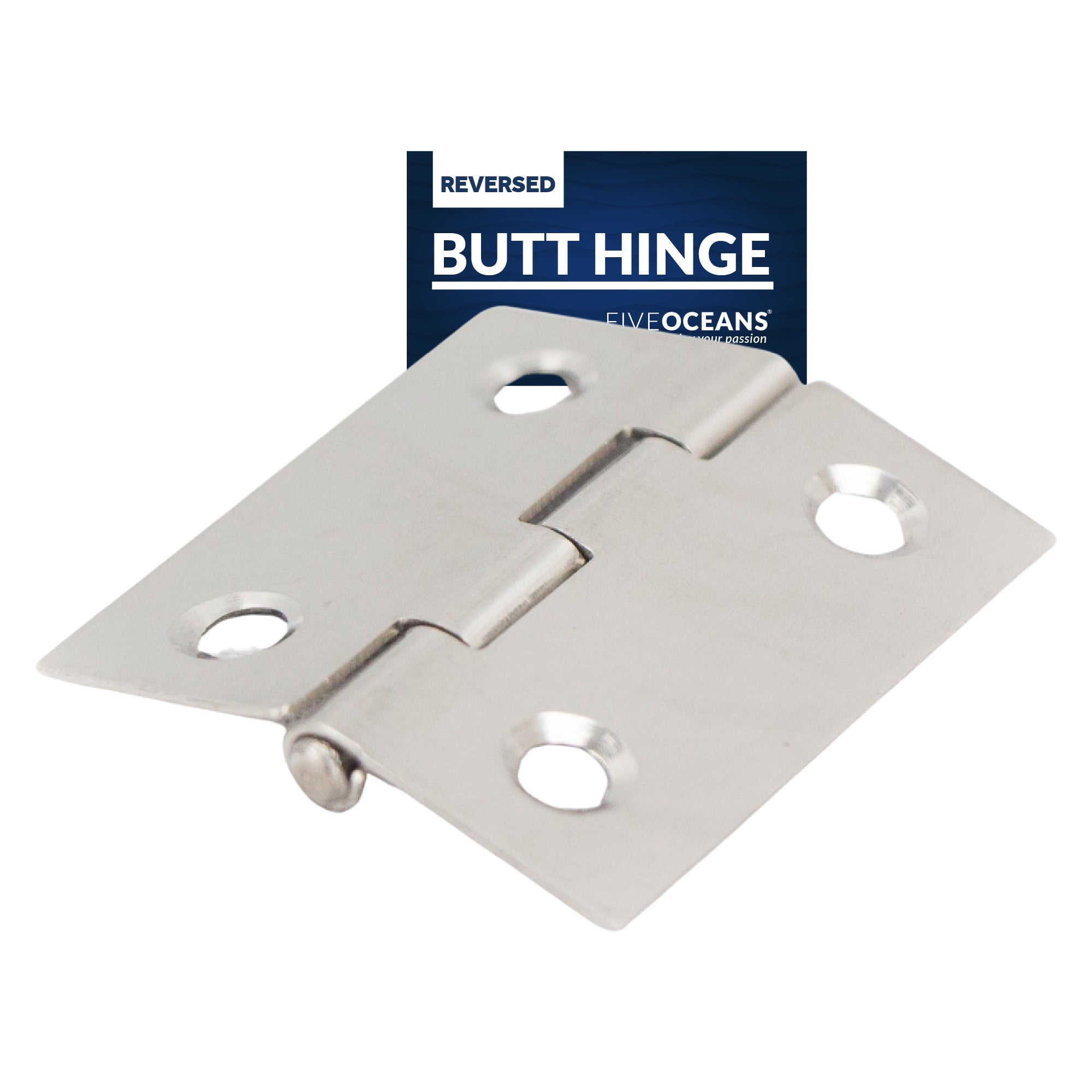 Butt Hinge Cabinet Door, Stainless Steel (AISI316) - FO4192